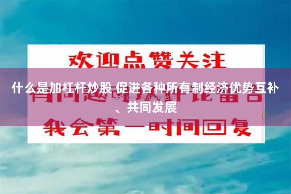什么是加杠杆炒股 促进各种所有制经济优势互补、共同发展