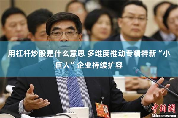 用杠杆炒股是什么意思 多维度推动专精特新“小巨人”企业持续扩容