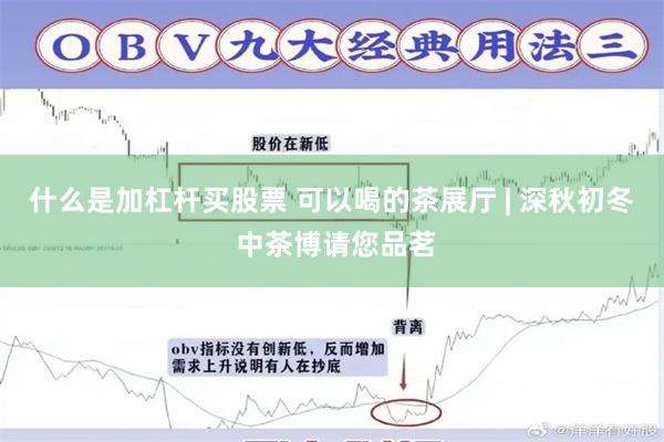 什么是加杠杆买股票 可以喝的茶展厅 | 深秋初冬 中茶博请您品茗