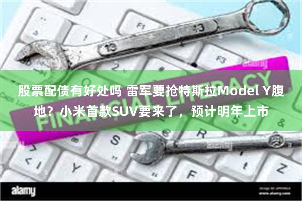 股票配债有好处吗 雷军要抢特斯拉Model Y腹地？小米首款SUV要来了，预计明年上市