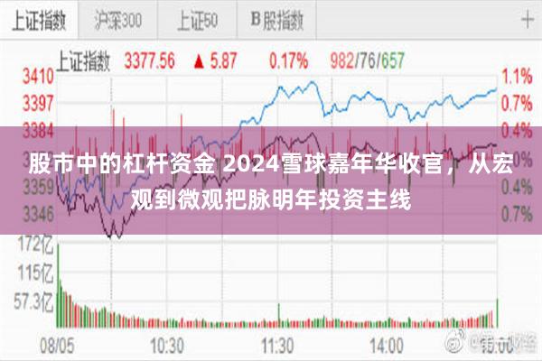 股市中的杠杆资金 2024雪球嘉年华收官，从宏观到微观把脉明年投资主线