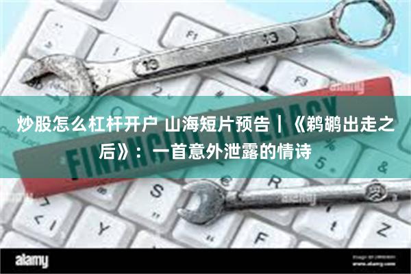 炒股怎么杠杆开户 山海短片预告｜《鹈鹕出走之后》：一首意外泄露的情诗