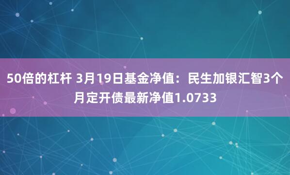 50倍的杠杆 3月19日基金净值：民生加银汇智3个月定开债最新净值1.0733