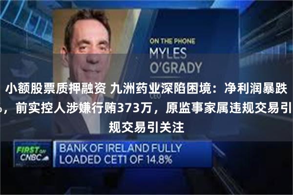 小额股票质押融资 九洲药业深陷困境：净利润暴跌41%，前实控人涉嫌行贿373万，原监事家属违规交易引关注