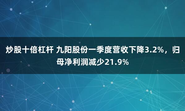 炒股十倍杠杆 九阳股份一季度营收下降3.2%，归母净利润减少21.9%