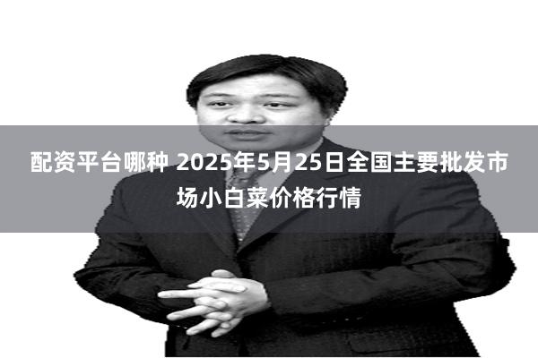 配资平台哪种 2025年5月25日全国主要批发市场小白菜价格行情