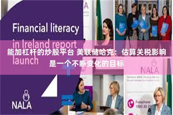 能加杠杆的炒股平台 美联储哈克：估算关税影响是一个不断变化的目标