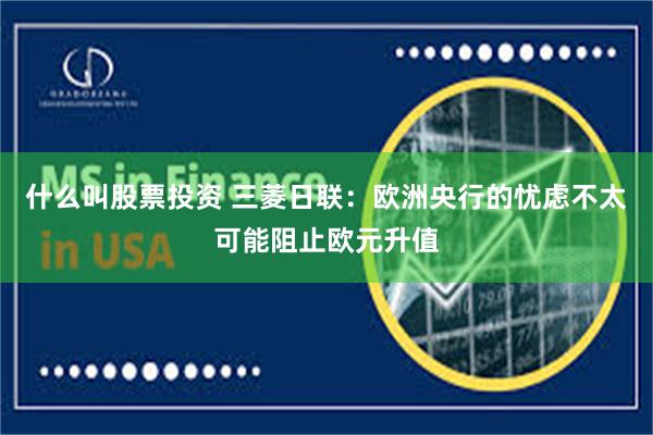 什么叫股票投资 三菱日联：欧洲央行的忧虑不太可能阻止欧元升值