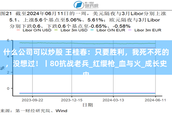什么公司可以炒股 王桂春：只要胜利，我死不死的，没想过！丨80抗战老兵_红缨枪_血与火_成长史
