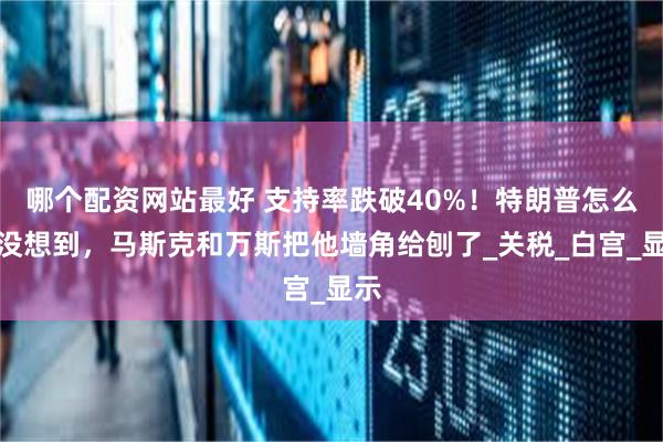 哪个配资网站最好 支持率跌破40%！特朗普怎么也没想到，马斯克和万斯把他墙角给刨了_关税_白宫_显示