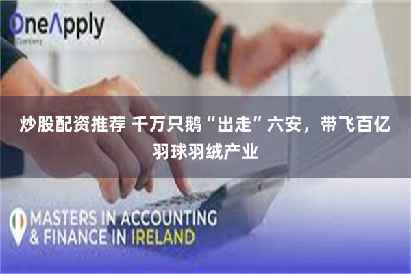 炒股配资推荐 千万只鹅“出走”六安,带飞百亿羽球羽绒产业